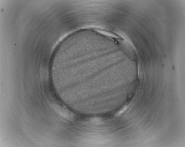 X0000070420204200607072343