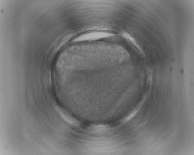 X0000070420205200607072343