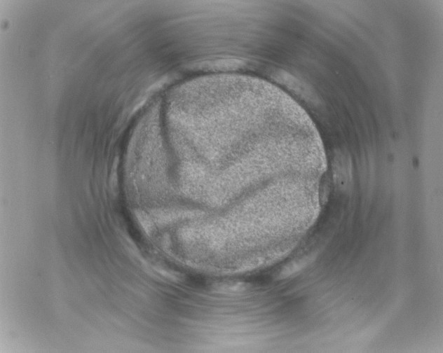 X0000070420206200607072343