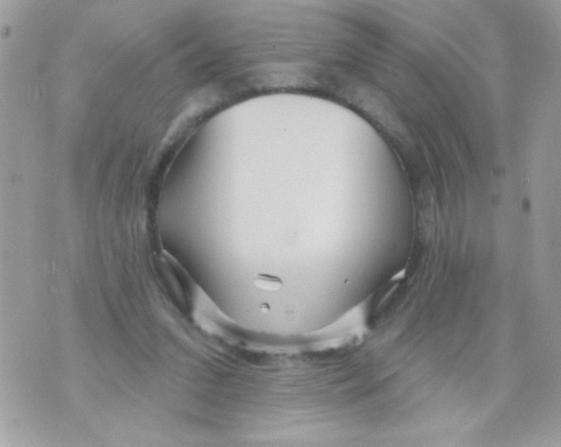 X0000070420207200607072343