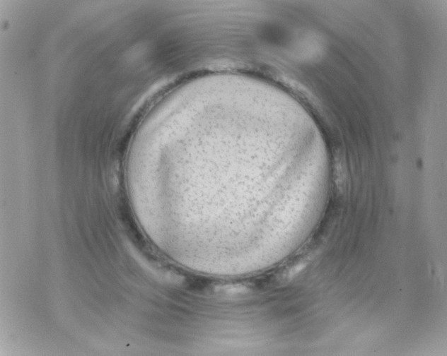 X0000070420208200607072343