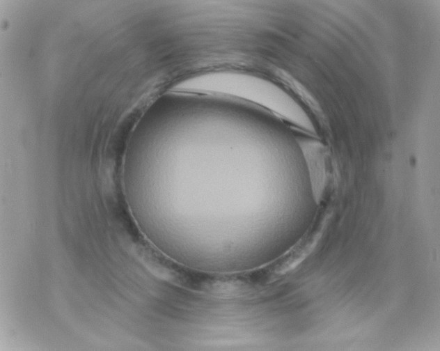 X0000070420209200607072342