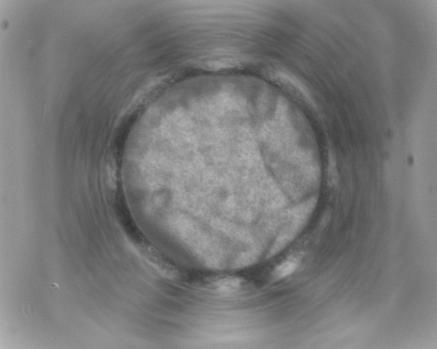 X0000070420210200607072342