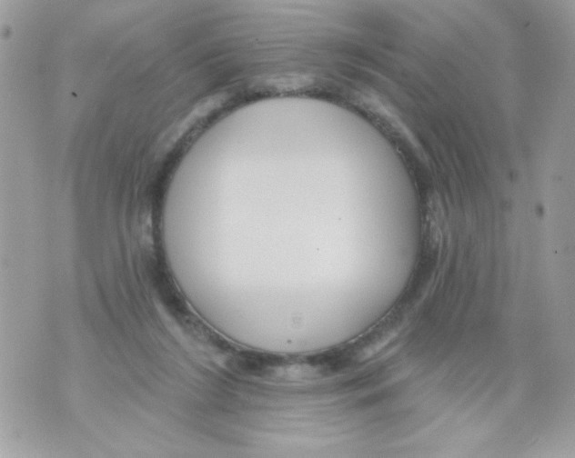 X0000070420212200607072342