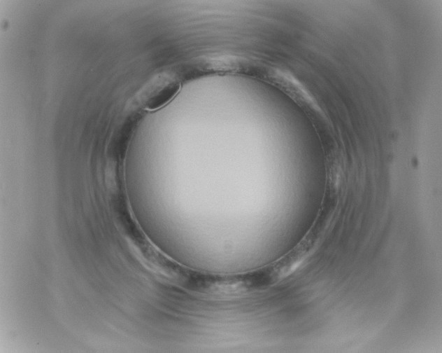 X0000070420213200607072342