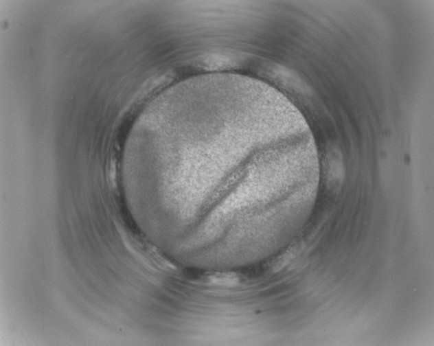 X0000070420214200607072342