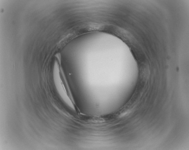 X0000070420215200607072342