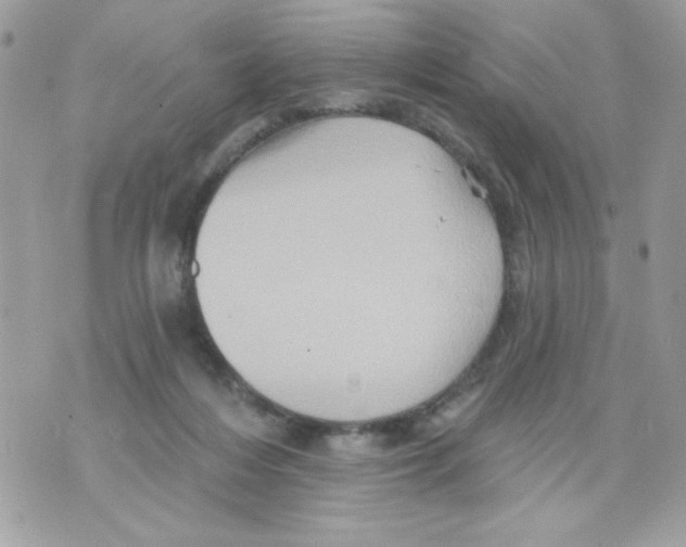 X0000070420216200607072342