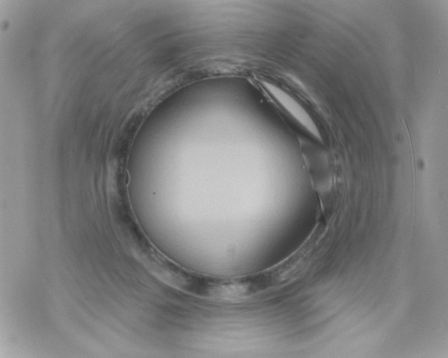 X0000070420217200607072342