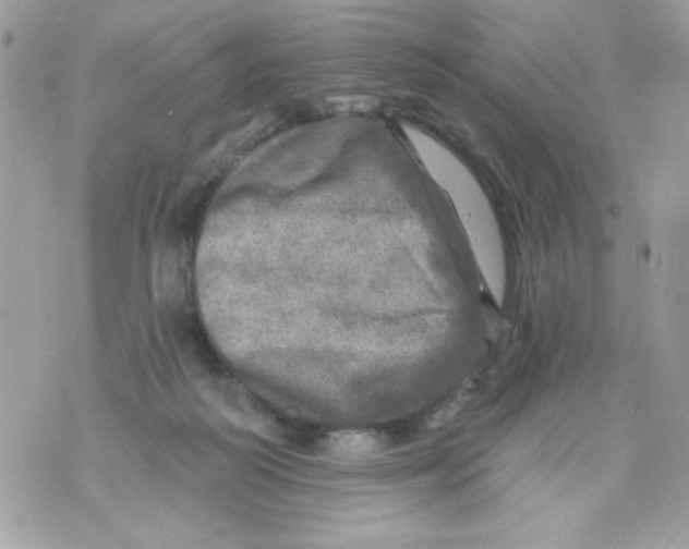 X0000070420218200607072342