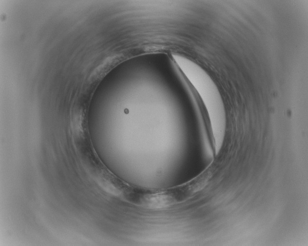 X0000070420219200607072342