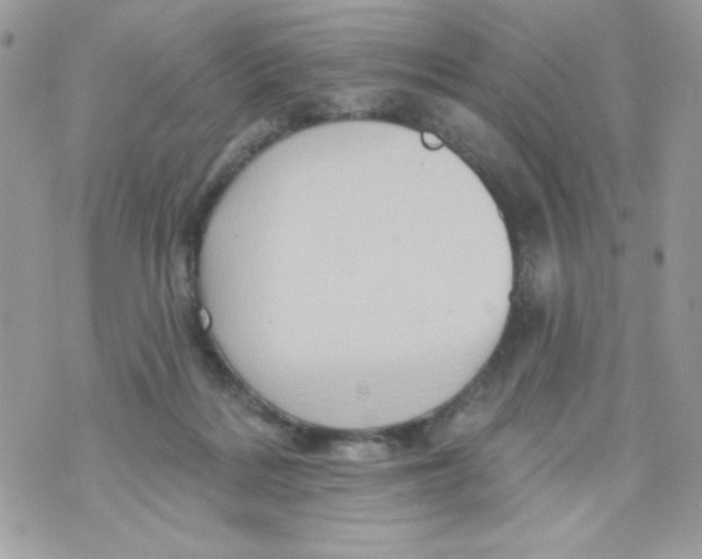 X0000070420220200607072342