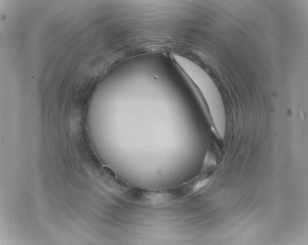 X0000070420221200607072342