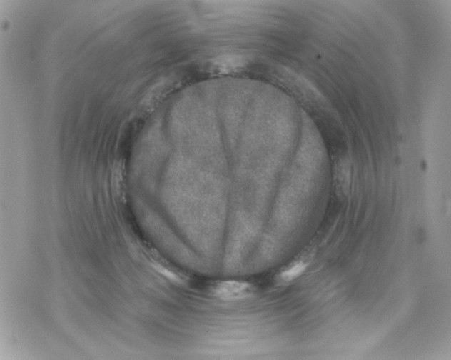 X0000070420222200607072342