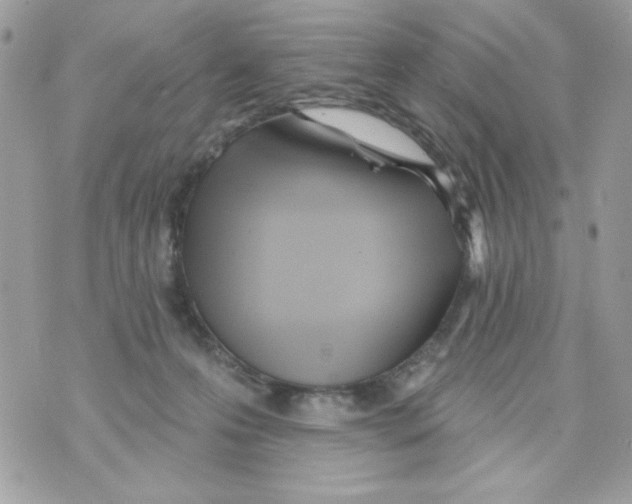 X0000070420223200607072342