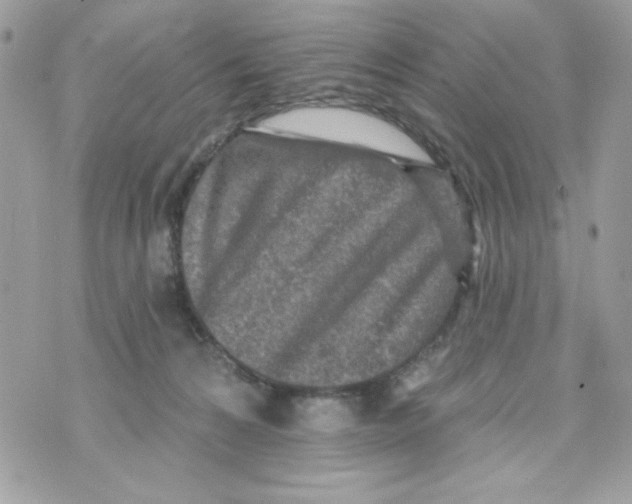 X0000070420224200607072342