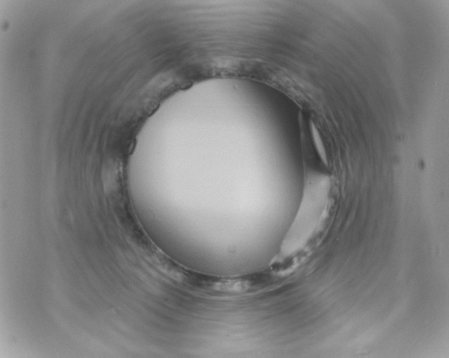 X0000070420225200607072342