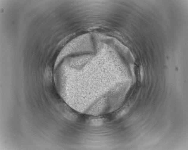 X0000070420228200607072342