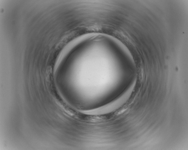 X0000070420229200607072342