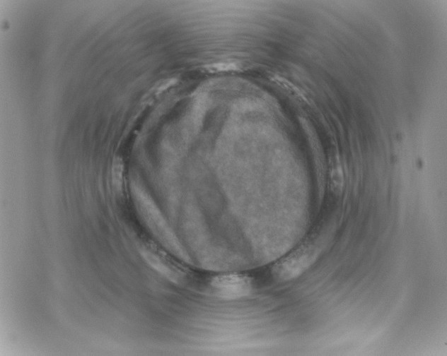 X0000070420231200607072342