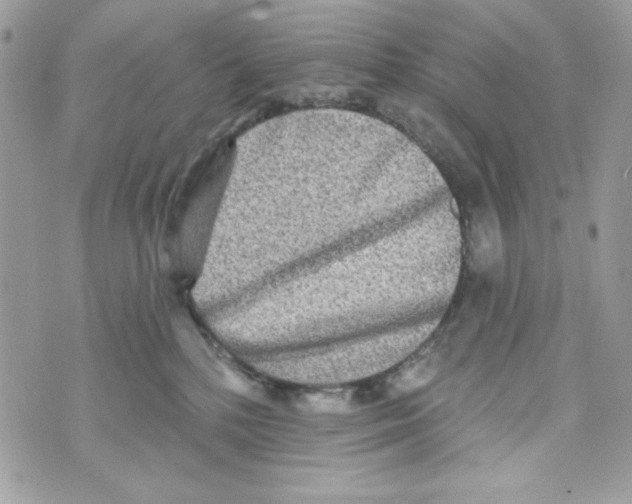 X0000070420232200607072342