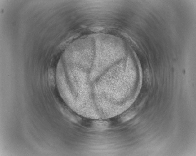 X0000070420234200607072342