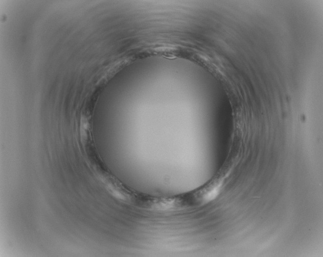 X0000070420235200607072342