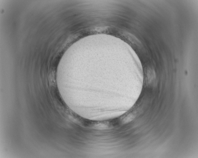 X0000070420236200607072342