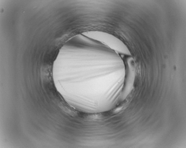 X0000070420237200607072342