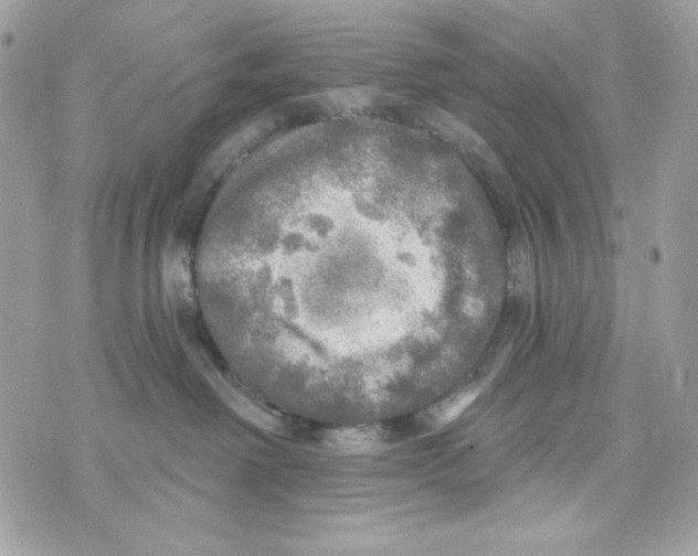 X0000070420238200607072342