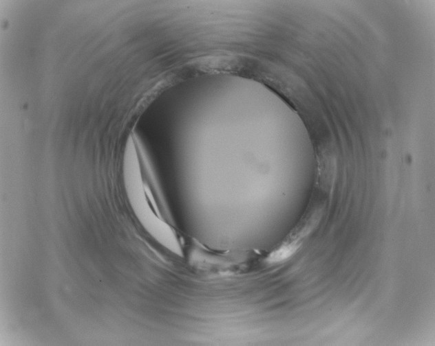 X0000070420239200607072342