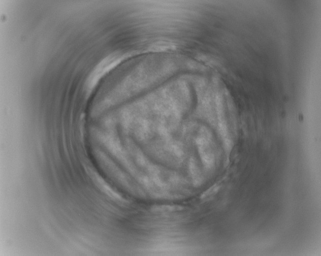 X0000070420242200607072341