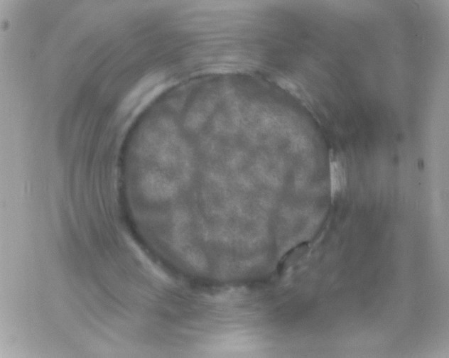 X0000070420243200607072341