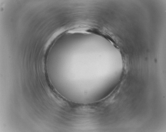 X0000070420244200607072341