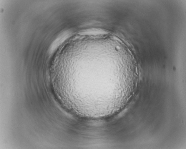 X0000070420245200607072341