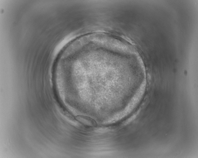 X0000070420246200607072341