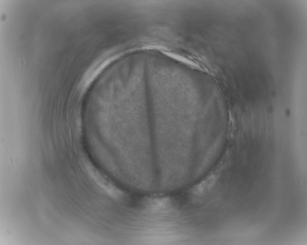 X0000070420247200607072341