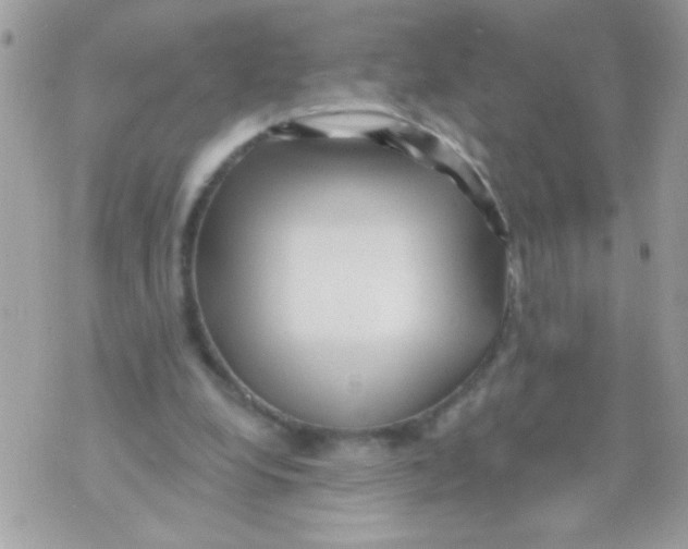 X0000070420248200607072341