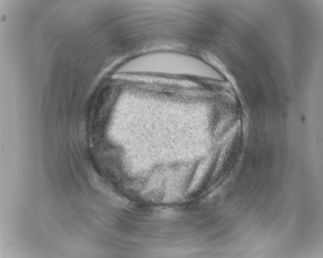 X0000070420249200607072341