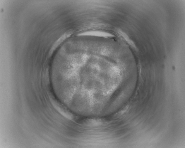 X0000070420250200607072341