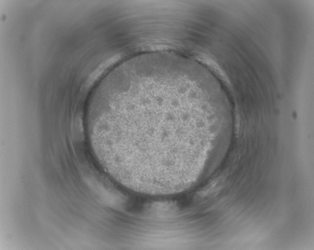 X0000070420251200607072341