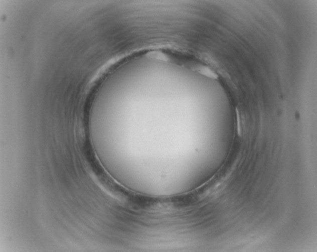 X0000070420252200607072341