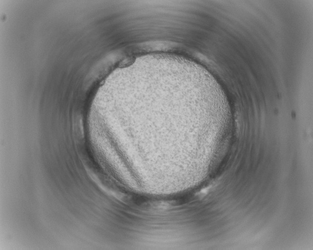 X0000070420254200607072341