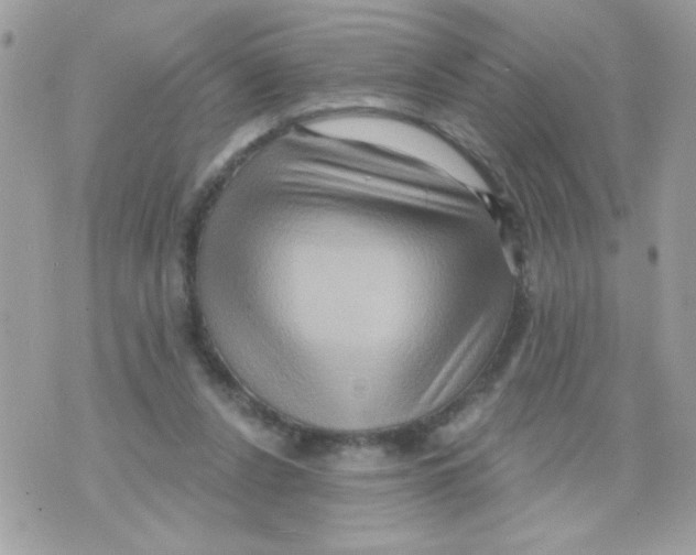 X0000070420256200607072341