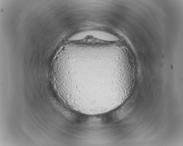 X0000070420257200607072341