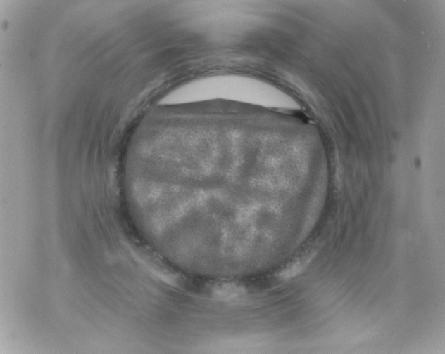 X0000070420258200607072341