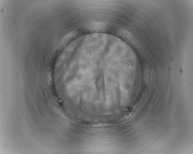 X0000070420259200607072341