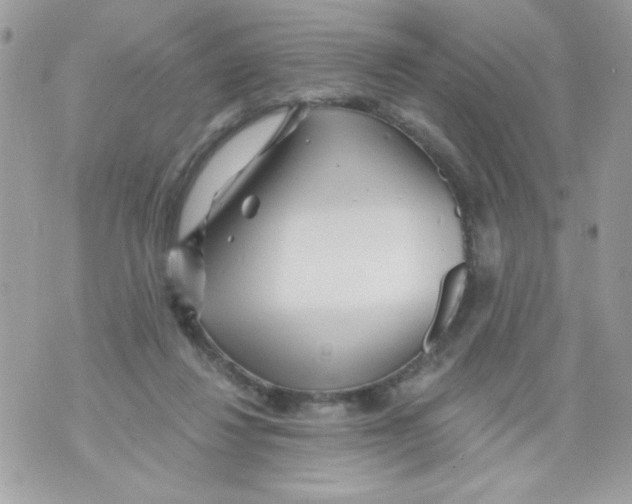 X0000070420260200607072342