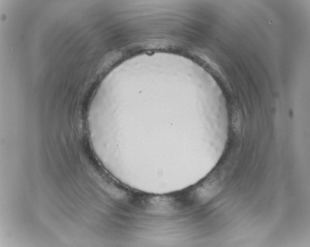 X0000070420261200607072342