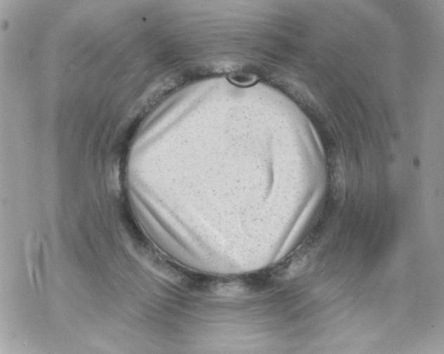 X0000070420262200607072342